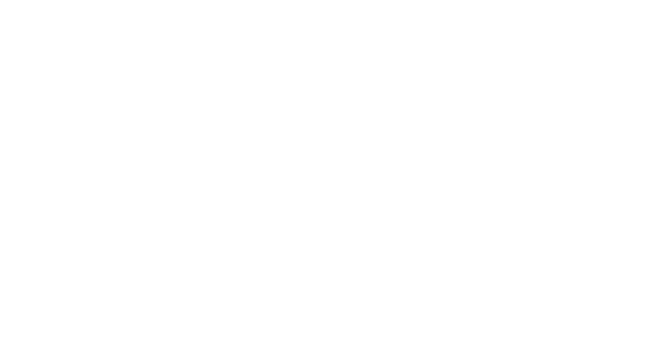 Digitale Gesprekscyclus logo