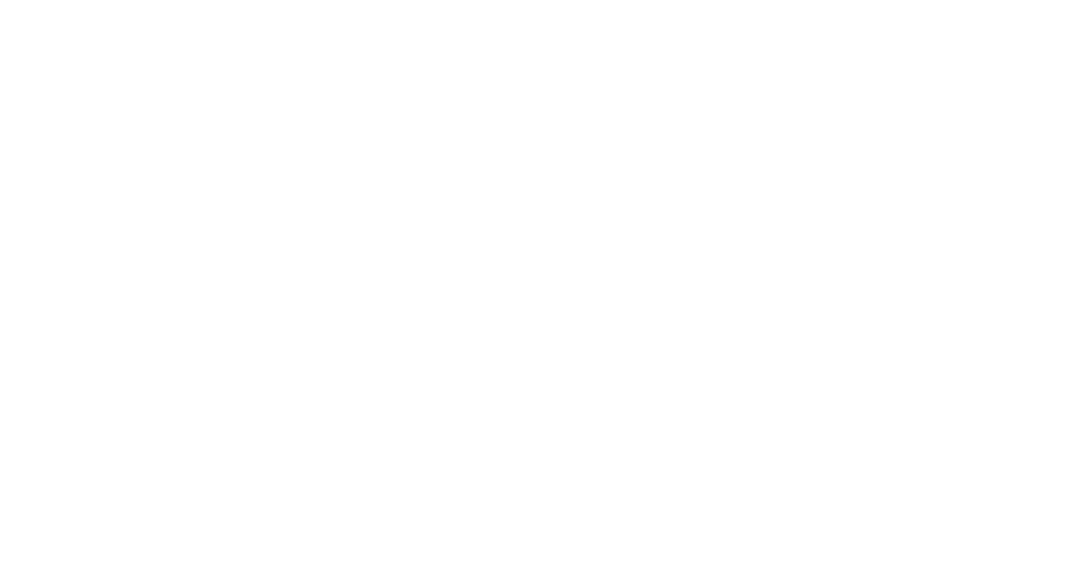 DISFF logo