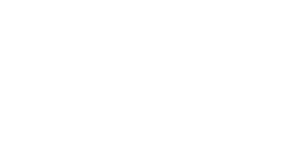 Mariposa logo