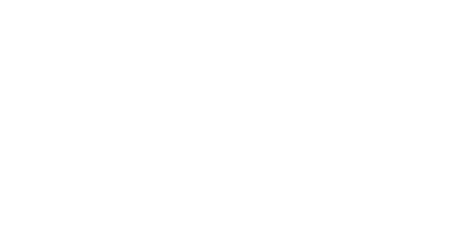 Zisopoulos logo